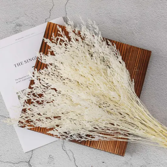 Dried Flowers Bouquet, Dry Caspia Flower Bundle, Floral Lavender, Babys Breath Flowers Arrangements for Wedding Decor, Door Wreath, Home Party Table Vase Decoration (White, 17'') {2}