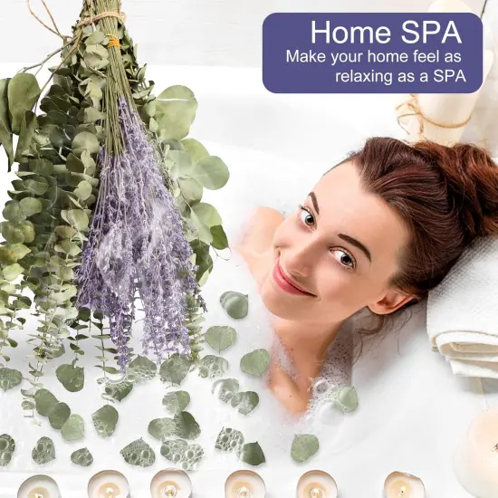 120 PCS Mix Dried Eucalyptus Stems & Lavender Flowers for Shower - 17'' Real Large Silver Dollar Leaves Branches, Fresh Hanging Plants for Vase, Natural Fragrance, Home Aromatic, Wedding Decor {2}