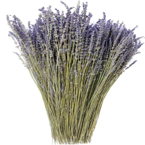 Dried Lavender Flowers Bundles 100% Natural Real Dry Flower for Home Decorations,Home Fragrance 350+ Stems {1}