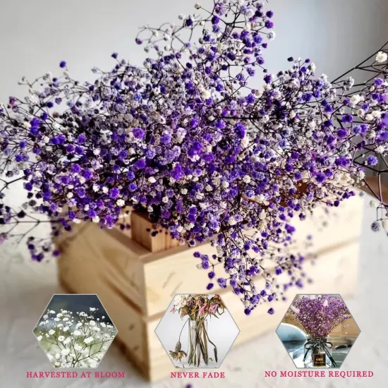 Dried-Flowers-Babys-Breath-Bouquet-17.2 inch 2500+ Flowers, Natural Gypsophila Branches for Home Decor, Wedding, Table Decor, DIY Wreath Floral, Dry Flowers Bulk for Vase (Purple) {4}
