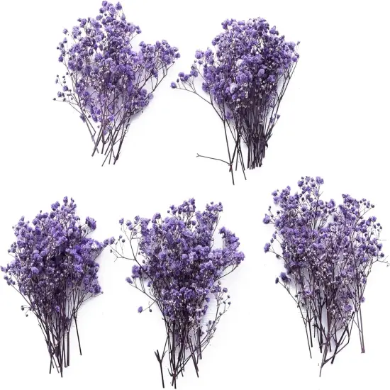 50 pcs Mini Dried Purple Baby Breath Flower Purple Dried Flower for Crafts Press Flowers Wedding Wreath Decoration Gift Card Decor Floral {1}