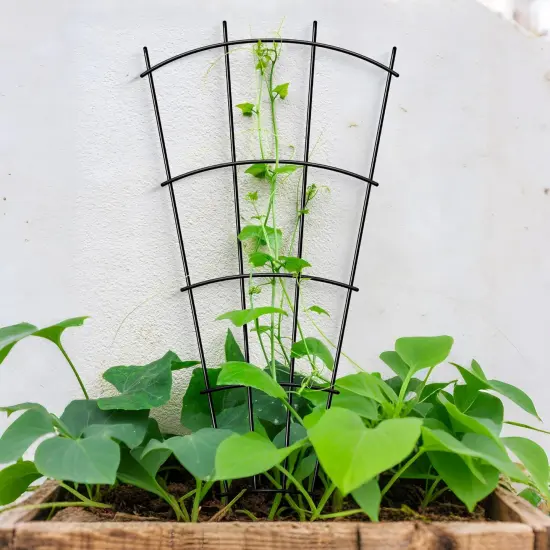 4 Pack 32'' Indoor Plant Trellis for Potted Plants {3}