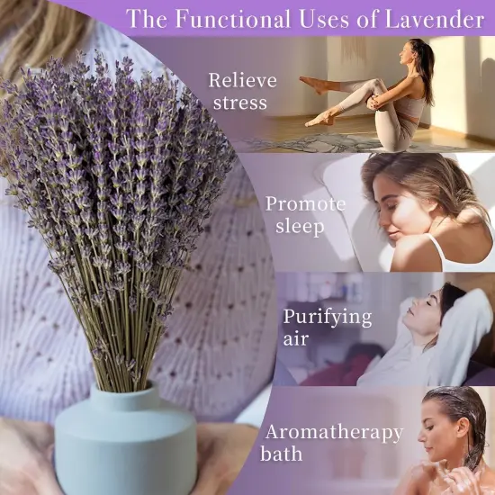 Dried Lavender Flowers Bundles, Natural Dry Lavender Flowers 440-480 Stems 16'' for Vase Home Wedding Party Decoration Arrangements Fragrance 4 Bundles {4}