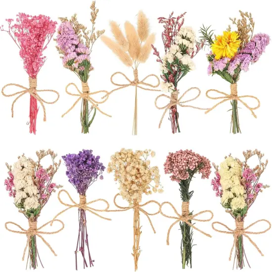 10 Pack Plus Size Dried Flower Bouquets Various Natural Dried Flower Combinations with Stem Dried Embossing Flower Bundles Dry Floral Arrangement for Vase, Carfts, DIY, Wedding, Home Decor (Plus) {1}