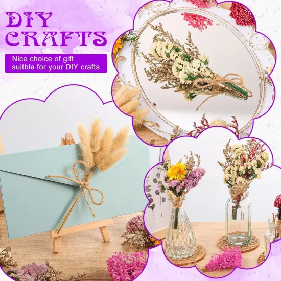 10 Pack Plus Size Dried Flower Bouquets Various Natural Dried Flower Combinations with Stem Dried Embossing Flower Bundles Dry Floral Arrangement for Vase, Carfts, DIY, Wedding, Home Decor (Plus) {3}