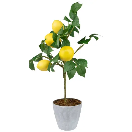Northlight Artificial Potted Mini Lemon Tabletop Tree - 20" Yellow {6}