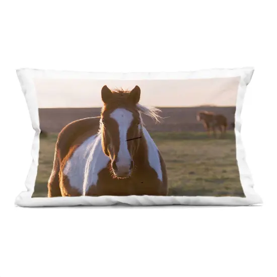 Stupell Industries Spotted Horse in Rural Countryside Decorative Printed Pillow design by Steve Toole, 14 x 7 x 20 {1}