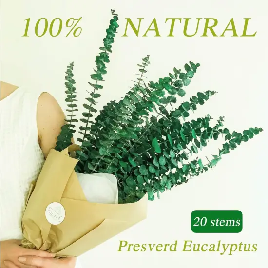 20 Pcs Preserved Dried Eucalyptus Stems, 17" Natural Fresh Eucalyptus Branches for Shower, Real Plant for Vase Filler {3}