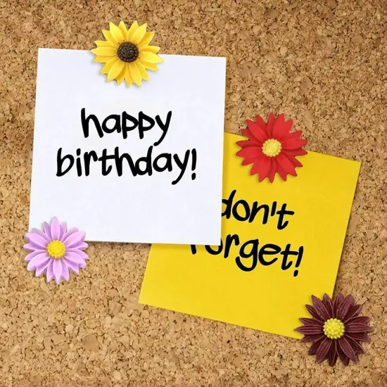 40Pc Push Pin Flowers Thumbtacks Decorative Daisy for Corkboard Map Photo Wall {4}