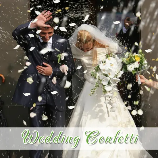 Dried Real White Rose Petals, Freeze Preserved Flower Petals for Wedding Party Decor, Rose Petals for Romantic Night Wedding {3}