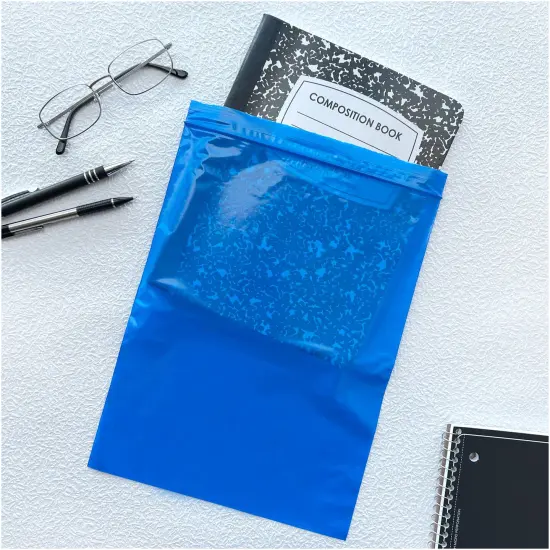 Plymor 9" x 12", Blue 2 Mil Zipper Reclosable Plastic Bags {4}