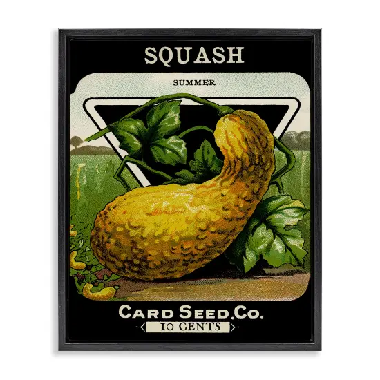 Stupell Industries Vintage Garden Squash Floating Frame Design by Lil' Rue {1}