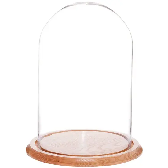 Plymor 9.75" x 15" Glass Display Dome Cloche Oak {1}