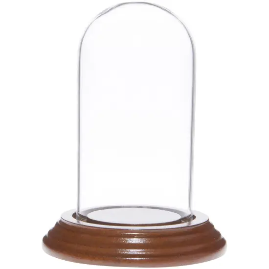 Plymor 2" x 4" Mini Glass Display Dome Cloche Walnut Veneer {1}