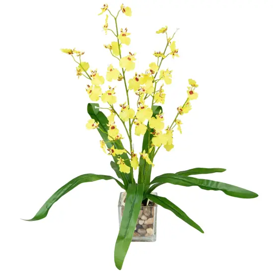 Northlight 23.5" Yellow Potted Artificial Oncidium Orchid Flower Plant Green {6}
