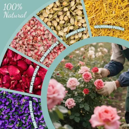 40+ Cups Real Biodegradable Flower Petal Wedding Confetti, 5 QT 5 Kinds Colorful Mixed Petal Confetti with Dried Rose Petal & Jasmine Buds {3}