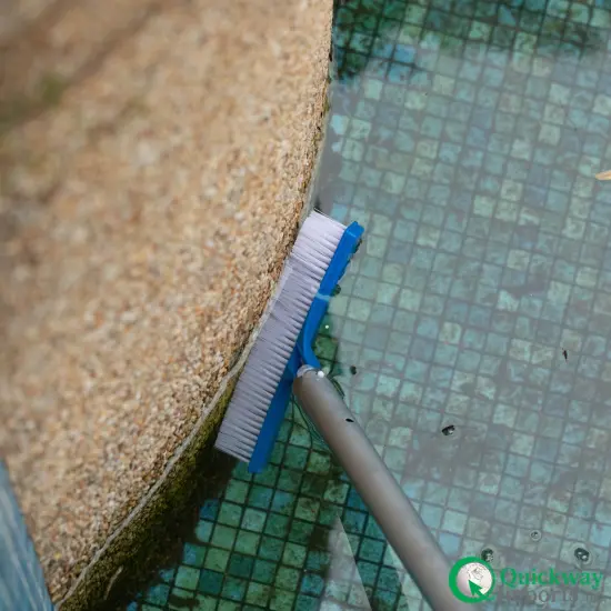 Quickway Imports 10-inch Poly Bristle Brush Head with Durable Nylon Bristles Designed to Clean Walls Floors Steps & Corners for Effective Above-Ground & Inground Swimming Pool Cleaning and Maintenance {3}