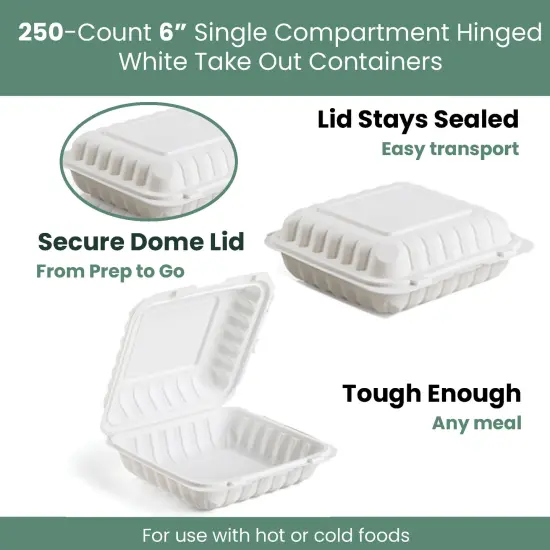 Northlight 250-Count Single Compartment Hinged White Take Out Containers - 6" {6}
