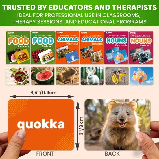 312 Flash Cards Set for Speech Therapy & Vocabulary Building Activities {2}