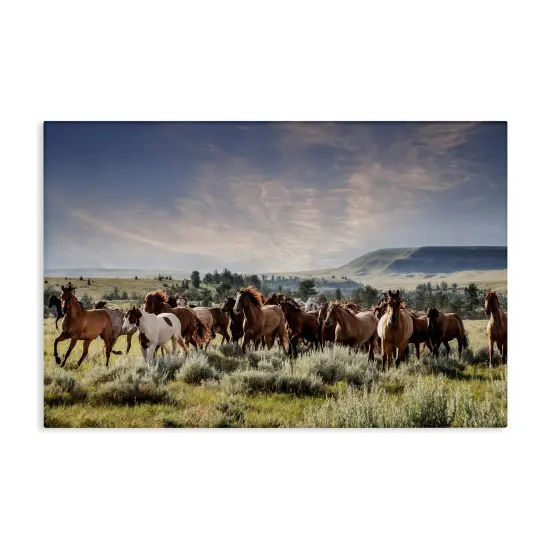 Stupell Industries Bustling Horse Herd in Nature Canvas By PHBurchett {1}