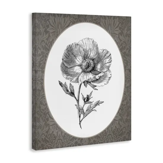 Stupell Industries Anemone Sprig Vignette Canvas By Lettered and Lined {3}
