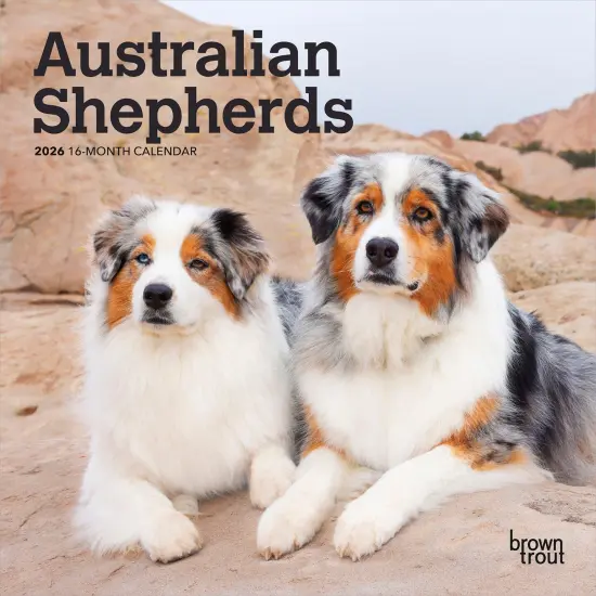 Australian Shepherds | 2026 7 x 14 Inch (Hanging) Monthly Mini Wall Calendar {1}
