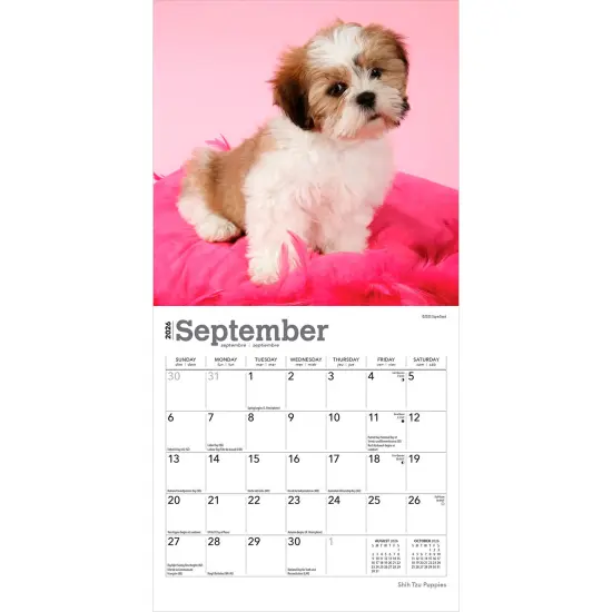 Shih Tzu Puppies | 2026 7 x 14 Inch (Hanging) Monthly Mini Wall Calendar {4}