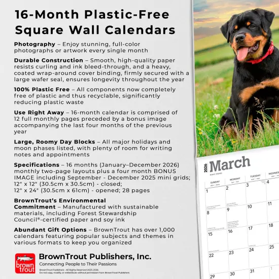 Rottweilers | 2026 12 x 24 Inch (Hanging) Monthly Square Wall Calendar | Plastic-Free {6}