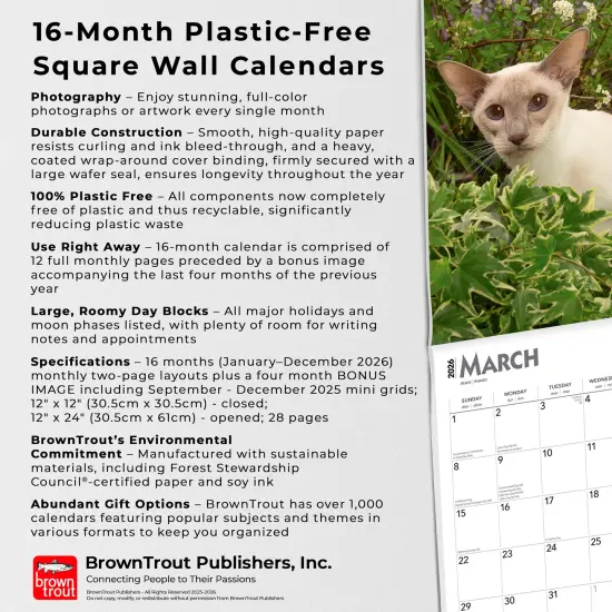 Siamese Cats | 2026 12 x 24 Inch (Hanging) Monthly Square Wall Calendar | Plastic-Free {6}