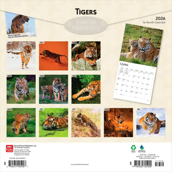 Tigers | 2026 12 x 24 Inch (Hanging) Monthly Square Wall Calendar | Plastic-Free {2}
