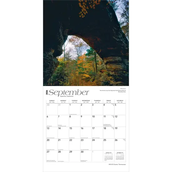 Tennessee Wild & Scenic | 2026 12 x 24 Inch (Hanging) Monthly Square Wall Calendar | Plastic-Free {4}