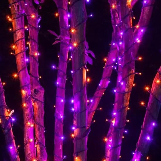 66FT 200 LED Connectable Black Wire Halloween String Lights {5}