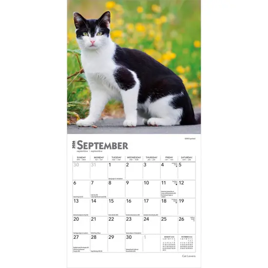 Cat Lovers | 2026 7 x 14 Inch (Hanging) Monthly Mini Wall Calendar {5}