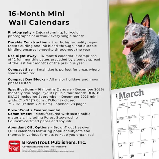 Blue Heelers | 2026 7 x 14 Inch (Hanging) Monthly Mini Wall Calendar {6}