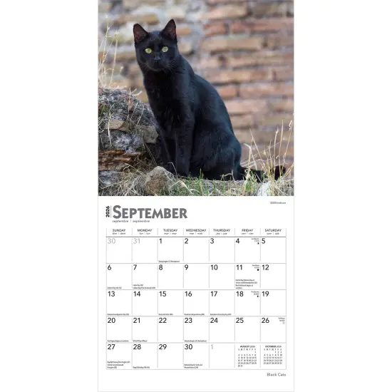 Black Cats | 2026 7 x 14 Inch (Hanging) Monthly Mini Wall Calendar {4}