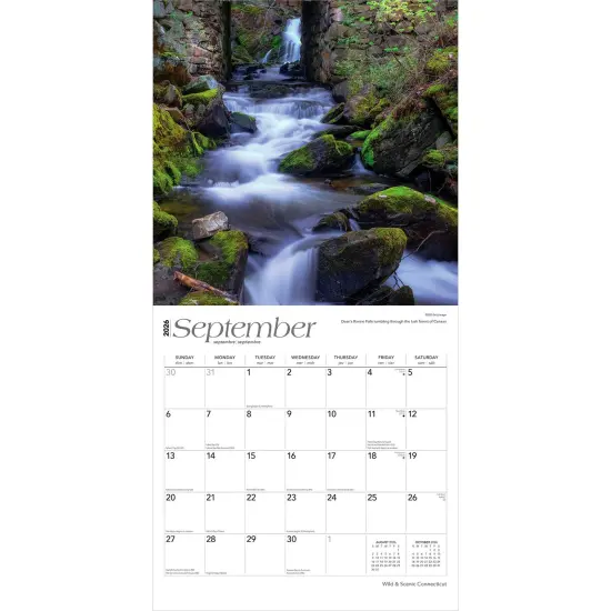 Connecticut Wild & Scenic | 2026 12 x 24 Inch (Hanging) Monthly Square Wall Calendar | Plastic-Free {4}