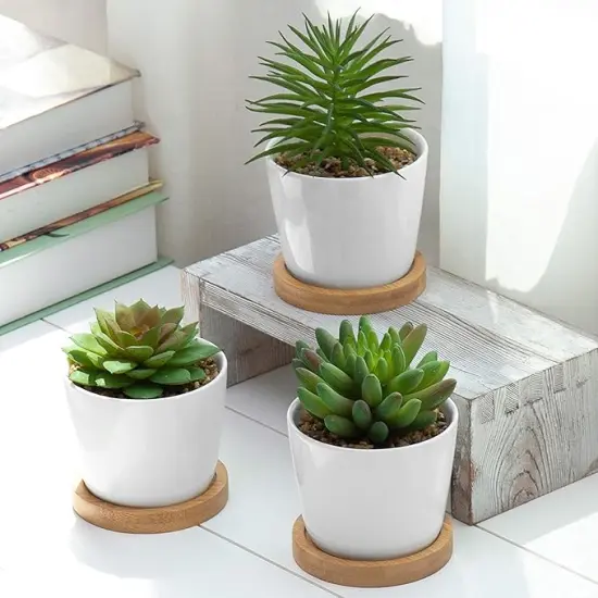 Assorted Artificial Succulent Plants - Decorative Fake Desert Plants with Pebble Fillers in White Ceramic Pots with Bamboo Saucers, Set of 3 {1}
