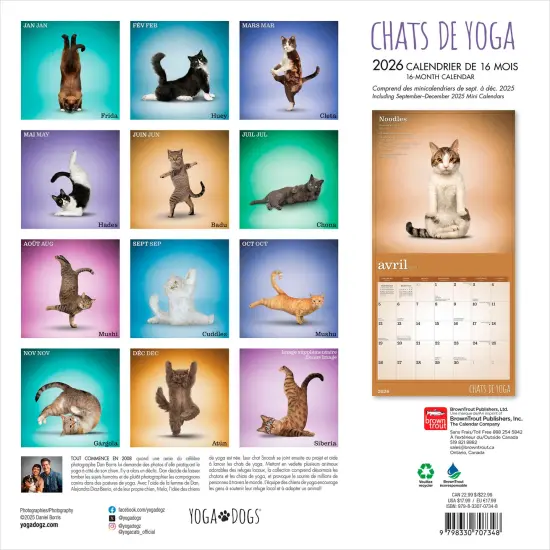 Chats de Yoga OFFICIEL | 2026 12 x 24 Inch (Hanging) Monthly Square Wall Calendar | French Language {2}