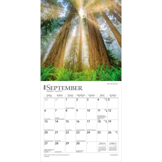 Inspiration | 2026 7 x 14 Inch (Hanging) Monthly Mini Wall Calendar {4}