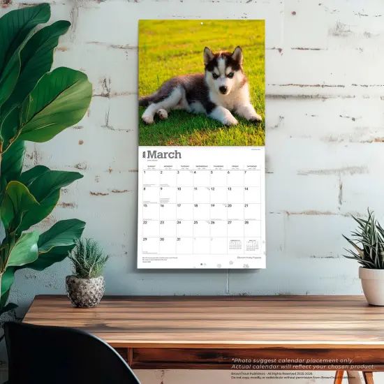 Siberian Husky Puppies | 2026 12 x 24 Inch (Hanging) Monthly Square Wall Calendar | Plastic-Free {5}