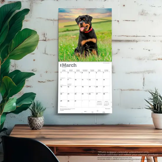 Rottweilers | 2026 12 x 24 Inch (Hanging) Monthly Square Wall Calendar | Plastic-Free {5}