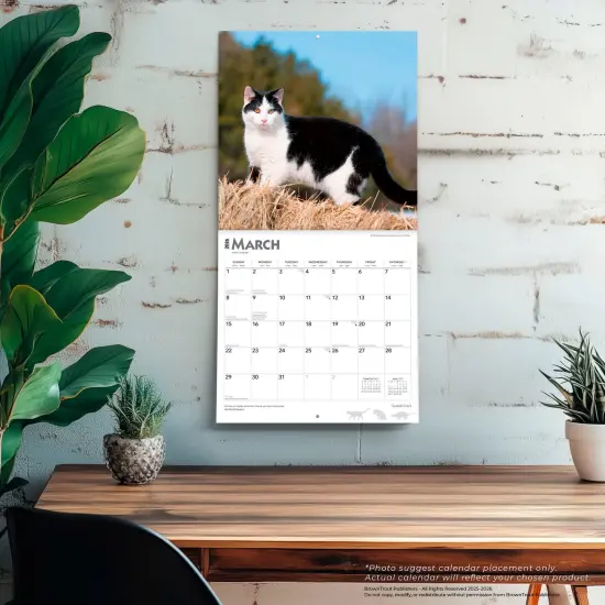 Tuxedo Cats | 2026 12 x 24 Inch (Hanging) Monthly Square Wall Calendar | Plastic-Free {5}