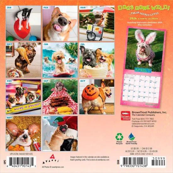 Avanti Dogs Gone Wild OFFICIAL | 2026 7 x 14 Inch (Hanging) Monthly Mini Wall Calendar {2}