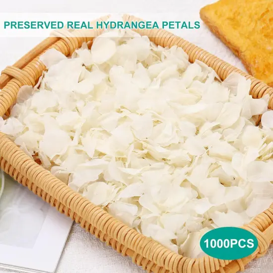Dried Real Hydrangea Petals, Natural Preserved Dry Flower Petals for Wedding Party Dinner Table Decor {2}