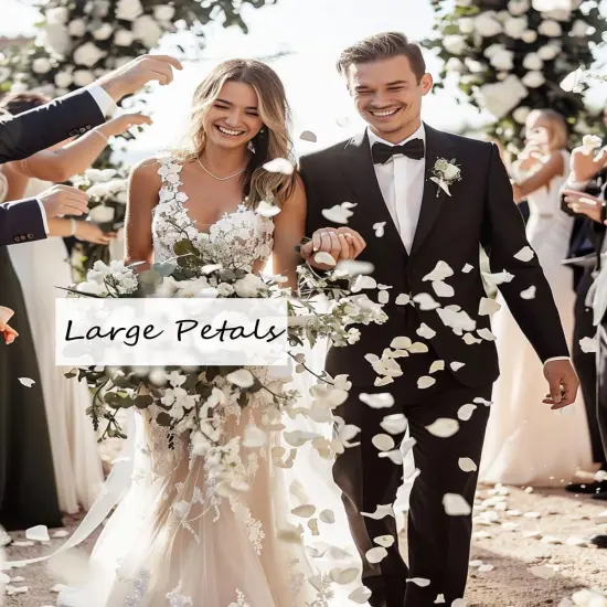 REAL Rose Petals, Pearl White Freeze-Dried Petals Biodegradabel Wedding Natural Confetti, Perfectly Preserved Flower Petals {5}