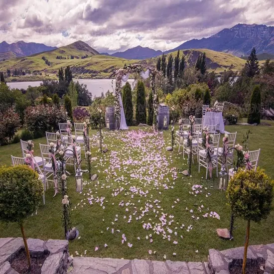 Rose Petals, 2000Pcs Silk Artificial Petals Flowers Home Party Decorations Wedding Bridal Decoration Wholesale Valentine Anniversary Ceremony Purple White {3}