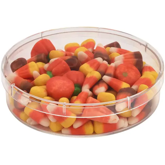 Pioneer Plastics 053C Clear Round Petri Dish Plastic Container, 4.6875" W x 1" H {3}