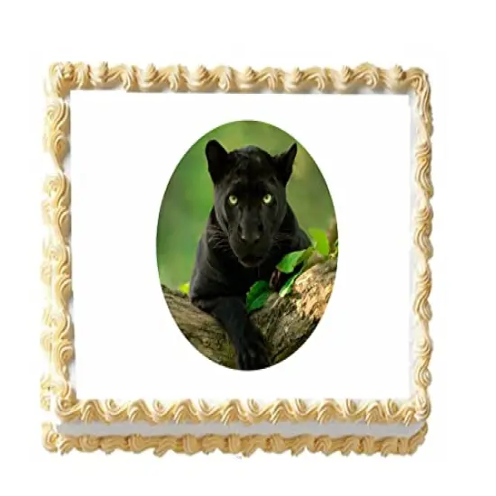 Panther Edible Cake Topper {1}