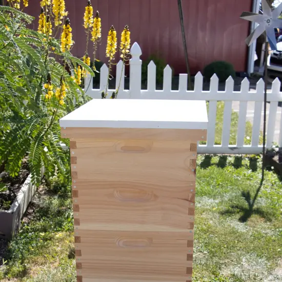 Stoney Acres Beekeeping Beehive Cover, Telescoping Assembled, for 10 Frame Honeybee Hive, Amish Made {3}