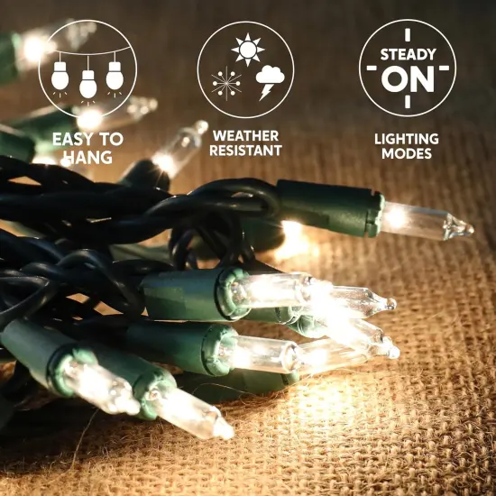 Clear Christmas String Lights {4}